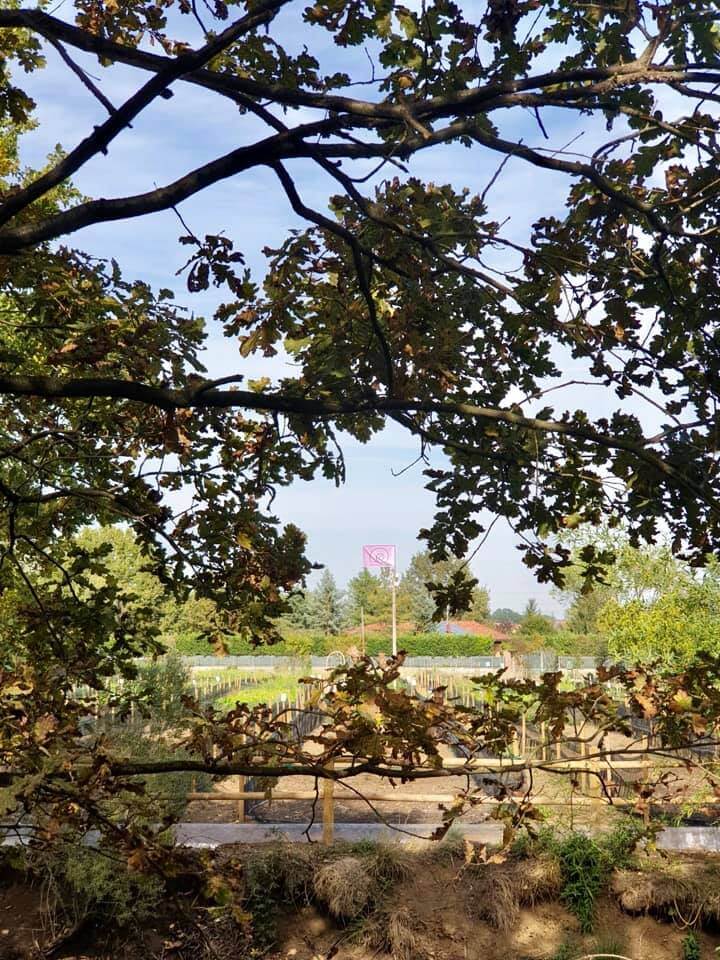 Allevamento Chioccioleria Givolettese Allevamento Chioccioleria Givolettese